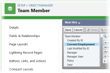 Screenshot: Editing the New Hire field set in the Team Member object